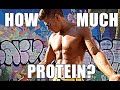 How Much Protein Do You REALLY need?