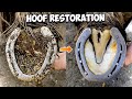 Big feet hoof restoration satisfying