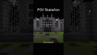 Pov Skeletons In Minecraft