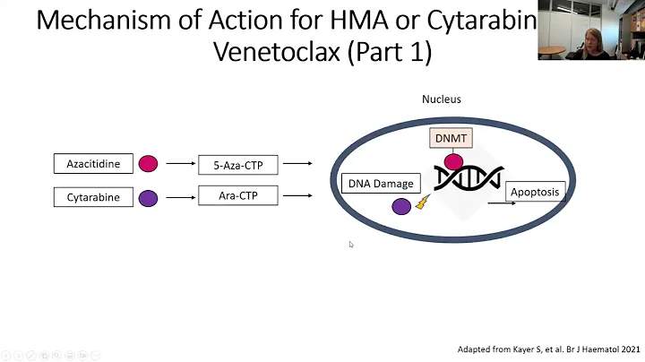 Know Your AML Therapy: Venetoclax | Dr. Alice Mims