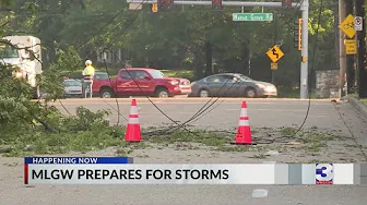 MLGW: Power outages due to trees down nearly 80% thumbnail