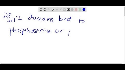 SH2 domains bind phosphotyrosine residues in deep pockets on their surfaces. Would you expect SH2 d…