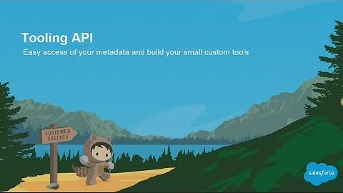 Tooling API: Easily Access Metadata and Build Small Custom Tools