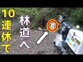 スーパーカブ110 GW10連休で埼玉の林道へ