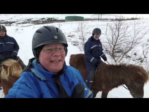 Video: Blå Mærkebehandlinger Til Heste