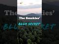 The Hidden Secret Behind the Smokies' Famous Blue Mist 🌲💨 #travel #nature #smokymountains