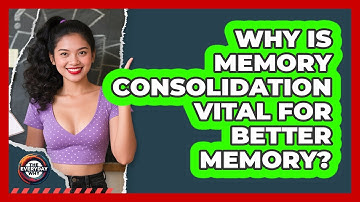 Why Is Memory Consolidation Vital For Better Memory? - The Everyday Why