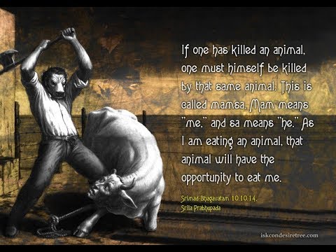 'The Ancient Roots of Plant Based Diet' Vegetarian Philosopher Quotes – Santos Bonacci