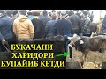 НАРХЛАР ТУШИБ КЕТДИ ТЕПАКУРГОН БОЗОРИДА. СИФАТЛИ ВА КУЧАТ НОВВОСЧАЛАР