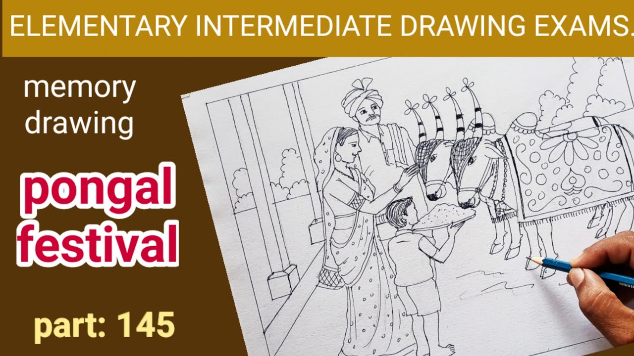 memory drawing sketch for pongal festival part:145 | bail pola ...