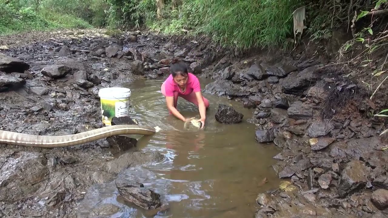 Fishing Exciting | Use a Pump To Suck Water Out Of The Lake ...