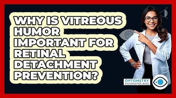 Why Is Vitreous Humor Important For Retinal Detachment Prevention? - Optometry Knowledge Base