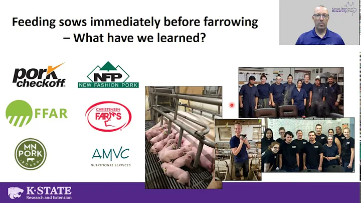 Feeding sows immediately before farrowing – What have we learned? – Jason Woodworth