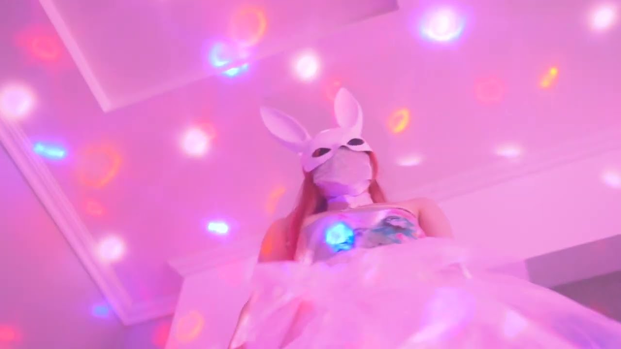 project no.1 : cyber rabbit