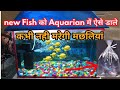 Aquarium में नई मछलियों को कैसे डाले? बाजार से लाई मछलियों को Aquarium में कैसे डाले? By THE KING,