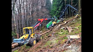 🌲 *The PERFECT Team* • John Deere 1270G & Welte 130 • PCM-Forst • Skidder & Harvester • Part-1🌲