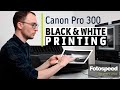 Canon Pro 300 Printer | Black & White Print Settings & Demo