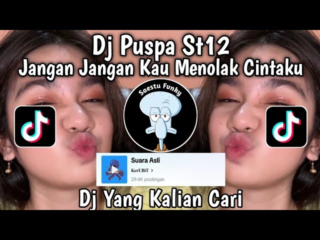 DJ JANGAN JANGAN KAU MENOLAK CINTAKU - DJ PUSPA ST12 SOUND KerUBiT VIRAL TIKTOK 2024 !! class=