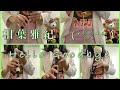 【嵐・相葉雅紀】Hello Goodbye をリコーダーで演奏してみた【ソロ曲】