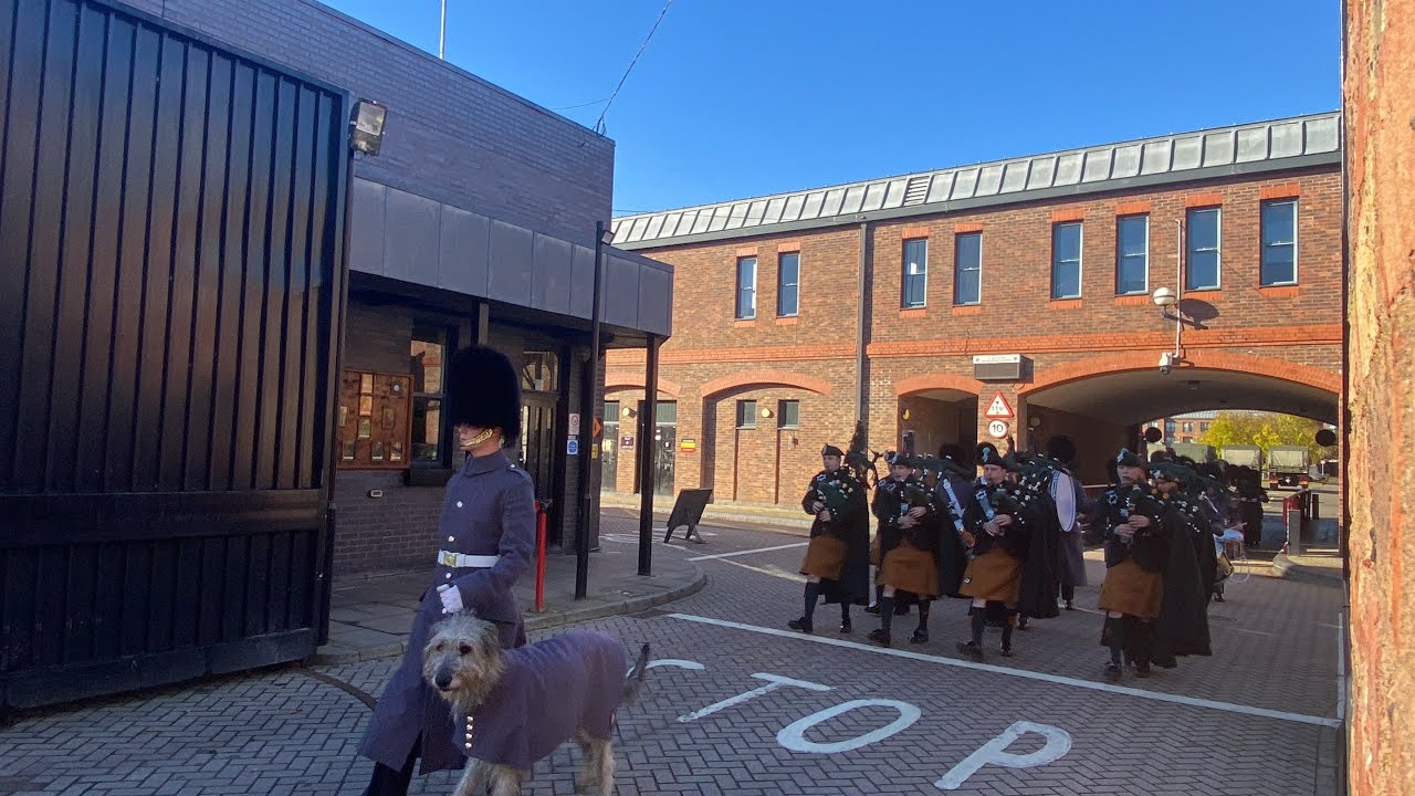 Changing of the guard (back in grey coats) Irish guards 11.11.23 YouTube