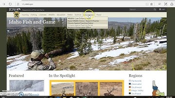 Usability Test - IDFG