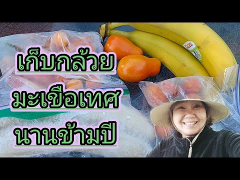 วิธีเก็บกล้วยนานข้ามปี เมียฝรั่ง อเมริกา นำสาระดี ๆ ที่แสนจะง่าย มาฝาก คนไทยในต่างแดน #คนไทยในอเมริก