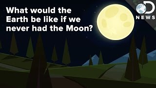 What If Earth Never Had A Moon?