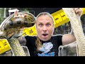 REAL ANACONDA VS ANACONDA SHED!! WHAT&#39;S THE DIFFERENCE IN SIZE? | BRIAN BARCZYK