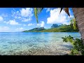 French polynesia 3 hours of tropical island ambience for relaxation