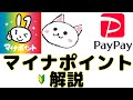 マイナポイント🔰PayPay(ペイペイ)でのやり方