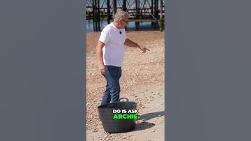 Seagull Drone Attack! Bird Frenzy