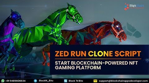 Zed Run Clone Script To Build NFT Horse Racing Game