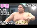令和5年 九州場所  宇良 8勝7敗 #sumo