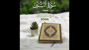 #سورة_التين|Surat al-tin|الشيخ/عبدالرحمن البكالي
