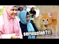 KAMI SURPRISE FAMILY DENGAN KUCING COMEL !