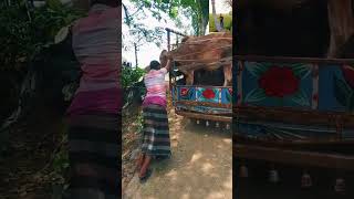 #answer #duet #islams #kalarab রাখালের স্বপ্ন পশু বিক্রি হয়ে গেল টাকার কাছে হয়তো বা কোরবানি দেবে