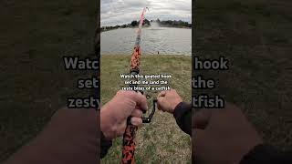 Zesty Bitez of a catfish @Finatic  #god #a #fishing