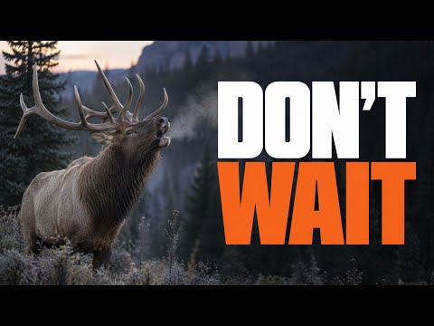 Do Elk Still Bugle In October?