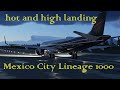 HOT AND HI LANDING IN MEXICO CITY LINEAGE 1000