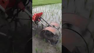 Agriculture Machinery|agri machinery|best Threshar Machine