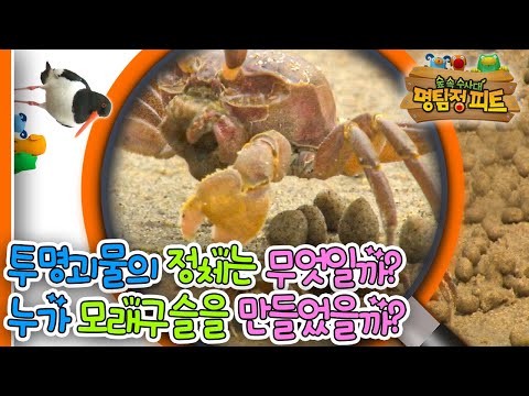 |숲 속 <strong>수사대</strong>|동물|식물|곤충|애니메이션