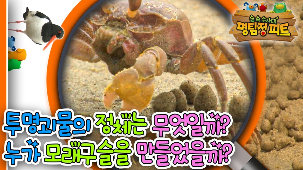 [EBS놀이터] 명탐정 피트1🔎｜투명괴물의 정체는 무엇일까?｜누가 모래구슬을 만들었을까?｜숲 속 수사대｜동물｜식물｜곤충｜애니메이션