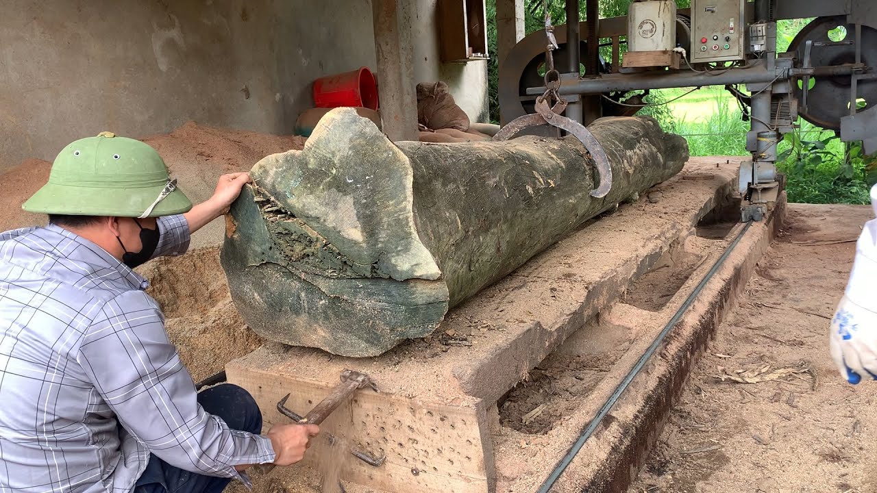 Quiet Life at a Vietnamese Sawmill – A Peaceful Day of Cutting Wood