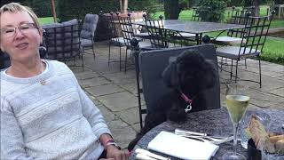 Belle A Life 2007 2019