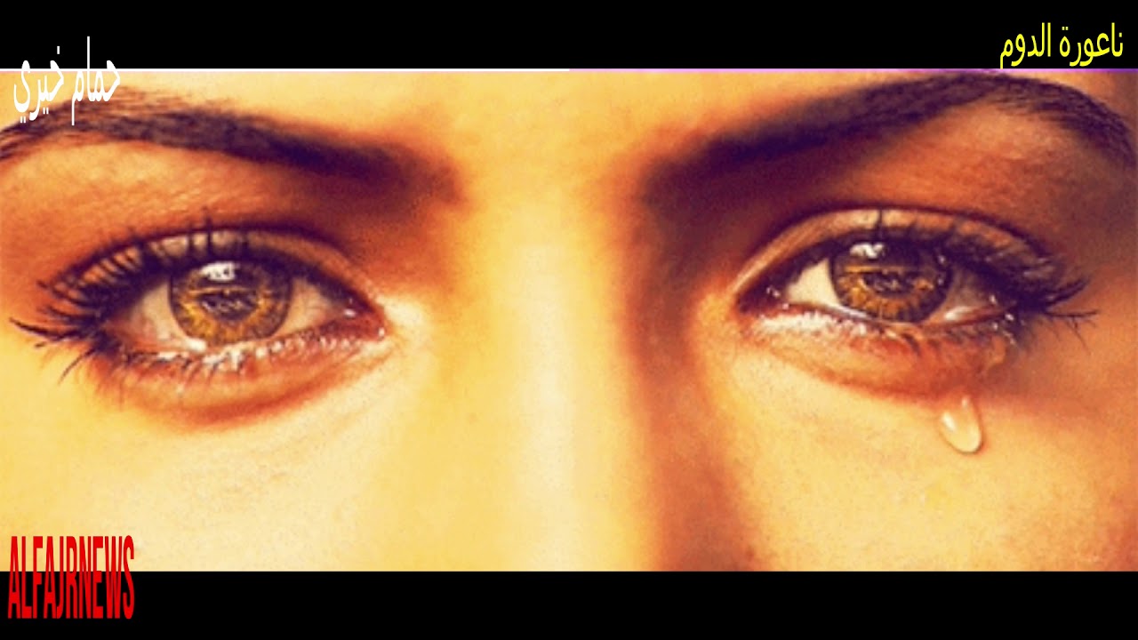 #شاهد.. ناعورة الدوم..  حمام خيري