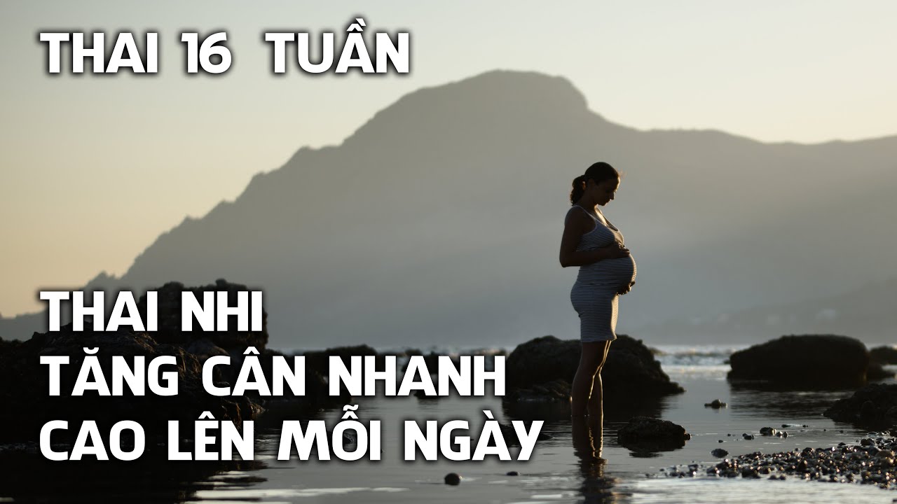 Thai nhi 16 tuần tuổi: Bứt phá về cân nặng, chiều dài - youtube