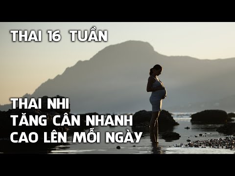 Video Thai nhi 16 tuần tuổi: Bứt phá về cân nặng, chiều dài - youtube