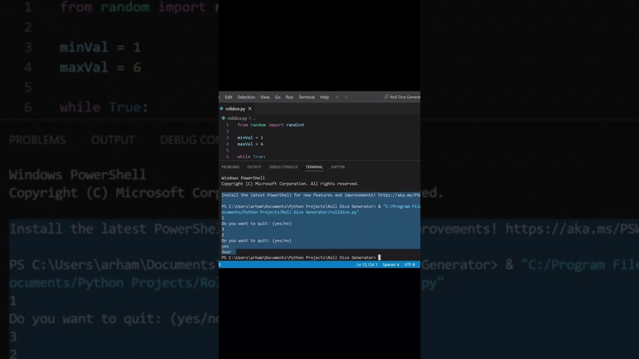 What do you do when you are coding | Dice roll generator with python 