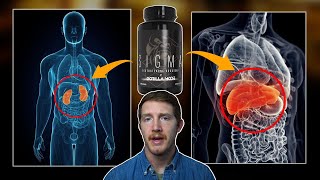 Fadogia Agrestis | Side Effects And Toxicity Concerns