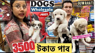 Dog market in Guwahati/৩৫০০ টকাৰ পৰা পাব breed /pet market Guwahati